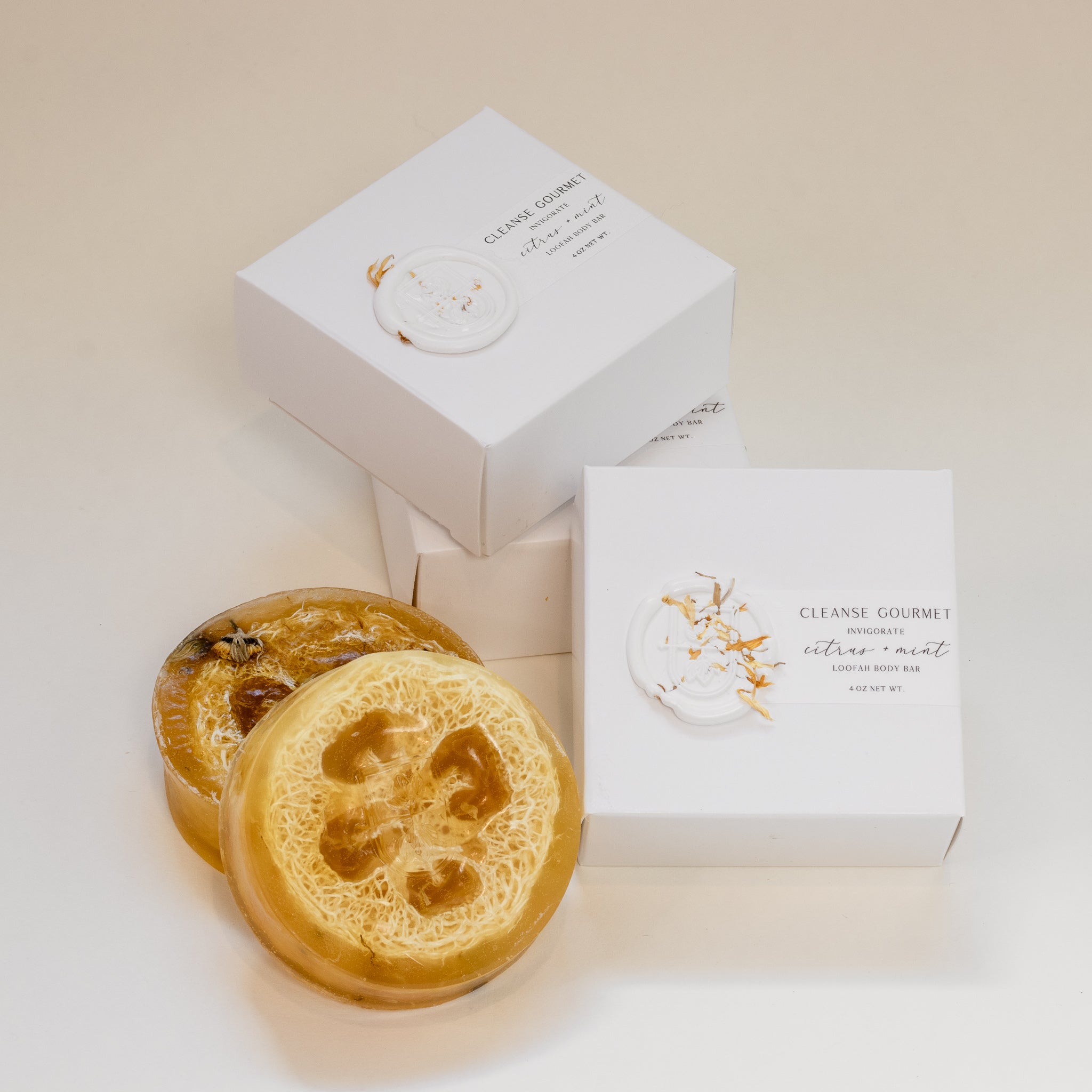 Invigorating Citrus Mint Loofah Body Bar